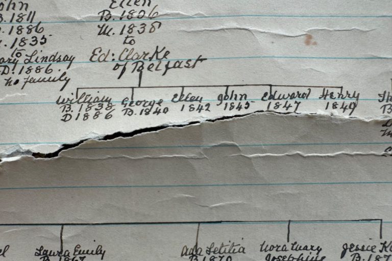 Choose which type of chart you would like: Ancestor, Decendant or __ and which individual you would like the chart to start from.  Folktrees family tree charts are fully-referenced so that you can find the original sources for the information contained in them.